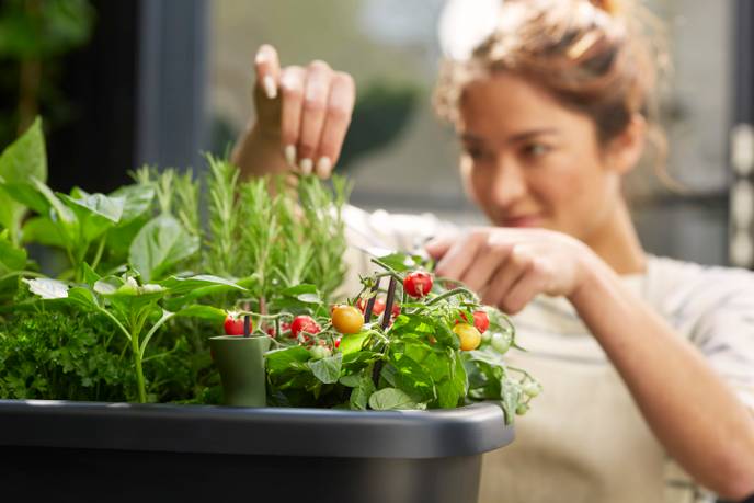 noa potager sur pied living noir